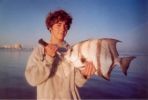 Filename=SpadeFish.jpg
Filesize=101KB
Dimensions=500x337
Date added=Jan 30, 2006 SpadeFish.jpg