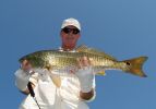 Filename=Big_redfish_007.jpg
Filesize=107KB
Dimensions=655x457
Date added=Jun 25, 2007 Big_redfish_007.jpg