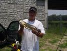 Filename=8-9-05 Ryan_s 20 inch trout.JPG
Filesize=41KB
Dimensions=448x336
Date added=Jan 17, 2006 8-9-05 Ryan_s 20 inch trout.JPG