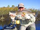 Filename=1_6_08_Trout_went_24_Inches.jpg
Filesize=103KB
Dimensions=640x471
Date added=Jan 18, 2008 1_6_08_Trout_went_24_Inches.jpg
