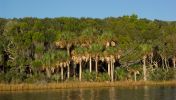Filename=Guana_Lake.jpg
Filesize=889KB
Dimensions=2147x1214
Date added=Dec 01, 2006 Guana_Lake.jpg