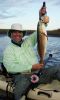 Filename=RSLov2FlyFish_Over_Slot_Red.jpg
Filesize=73KB
Dimensions=390x640
Date added=Aug 02, 2006 RSLov2FlyFish_Over_Slot_Red.jpg