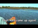Filename=youtube_KEKAdOX-yP8.jpg
Filesize=16KB
Dimensions=480x360
Date added=Apr 28, 2010 youtube_KEKAdOX-yP8.jpg
