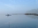 2006_0122Image0005.JPG