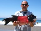 Filename=SheepHead1.jpg
Filesize=144KB
Dimensions=800x600
Date added=Mar 08, 2006 SheepHead1.jpg