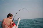 Filename=Ralph_Shark_4.JPG
Filesize=174KB
Dimensions=1544x1024
Date added=Jul 10, 2006 Ralph_Shark_4.JPG