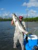 Filename=monster_snook_48_inches_july_15__2006_004.jpg
Filesize=38KB
Dimensions=360x480
Date added=Jul 17, 2006 monster_snook_48_inches_july_15__2006_004.jpg