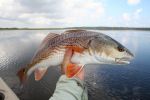 Filename=RedArcOverFloodedSpartina10x6.jpg
Filesize=320KB
Dimensions=720x480
Date added=Nov 30, 2006 RedArcOverFloodedSpartina10x6.jpg