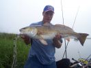 Filename=Picture_of_fish_010.jpg
Filesize=830KB
Dimensions=3072x2304
Date added=May 13, 2007 Picture_of_fish_010.jpg