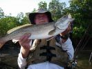 Filename=28_Inch_SkitterWalk_Trout.jpg
Filesize=73KB
Dimensions=422x317
Date added=Jul 16, 2008 28_Inch_SkitterWalk_Trout.jpg