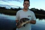 Filename=black_drum.jpeg
Filesize=12KB
Dimensions=315x210
Date added=Nov 12, 2009 black_drum.jpeg