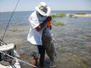 Filename=Al__Big_Red_@_Cedar_Key.JPG
Filesize=1301KB
Dimensions=2736x2052
Date added=Jun 28, 2011 Al__Big_Red_@_Cedar_Key.JPG