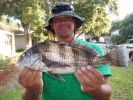 Filename=17inch_Black_Drum.jpg
Filesize=904KB
Dimensions=2272x1704
Date added=Sep 22, 2010 17inch_Black_Drum.jpg
