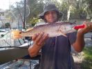 Filename=19inch_Red.jpg
Filesize=917KB
Dimensions=2272x1704
Date added=Sep 22, 2010 19inch_Red.jpg