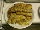 Filename=trout_and_flounder_fillets_4-7-11.jpg
Filesize=57KB
Dimensions=640x480
Date added=Apr 08, 2011 trout_and_flounder_fillets_4-7-11.jpg