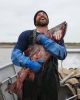 Filename=Love_Fishing.jpg
Filesize=40KB
Dimensions=496x616
Date added=Jan 16, 2013 Love_Fishing.jpg